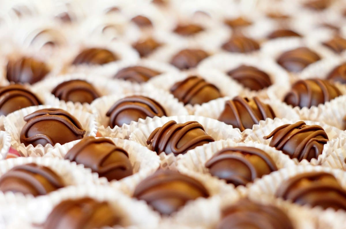 Handmade chocolate truffles set in white paper cases